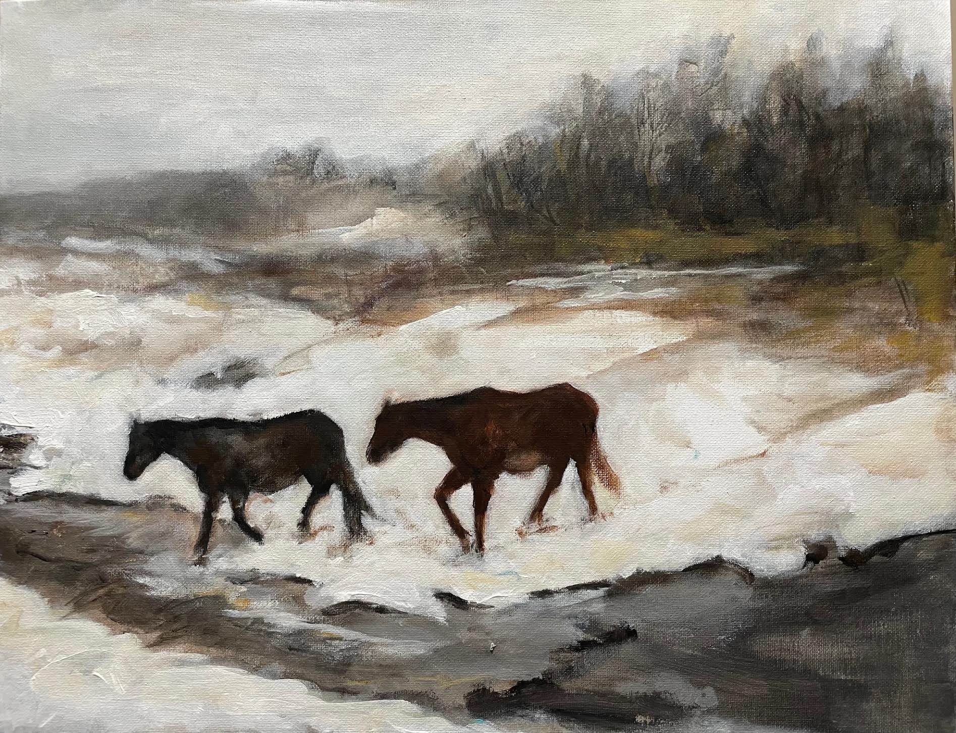Winter Snow